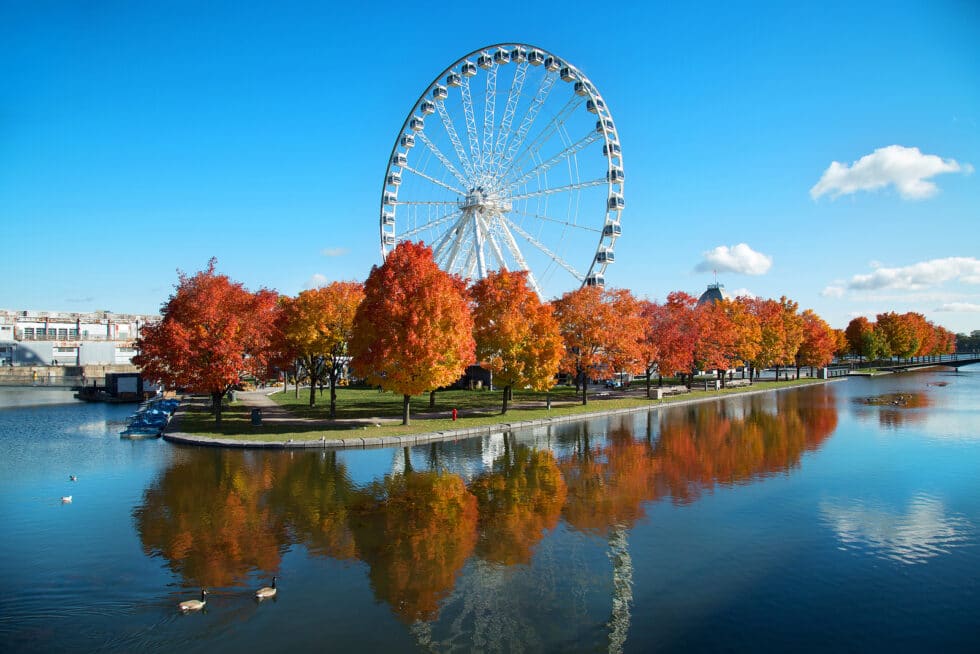 Resort Concierge Escapes Reviews shows Montreal's waterfront and Ferris wheel during autumn, reflecting the city's lively seasonal atmosphere.
